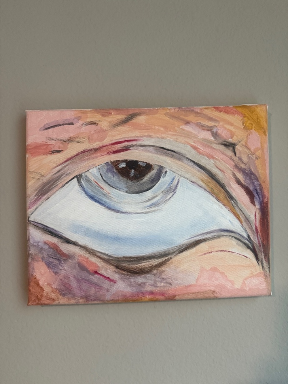 Hand painted Abstract Eye Canvas - Pink, Blue, Brown